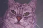 Pastel portrait of grey cat