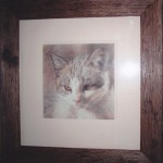 Framed coloured pencil portrait of a Tabby Cat