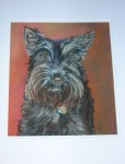 Pastel portrait of a Scottish Terrier