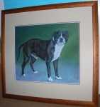 Framed pastel portrait of Monty the Staffordshire Terrier