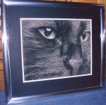 Framed monochrome pastel of a Black Cat
