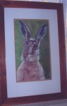 Pastel portrait of a Brown Hare