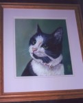Framed pastel portrait of a black and white cat