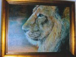 Framed oil of a Lion