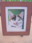 Framed pastel portrait of a tortoiseshell cat