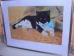 Framed pastel portrait of blind black and white cat