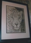 Graphite pencil portrait of a Jaguar