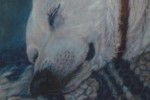 Pastel portrait of a white dog
