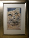Framed coloured pencil portrait of Ginger Cat