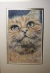 Mounted coloured pencil portrait of Ginger Cat