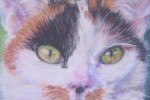 Pastel portrait of a tortoiseshell cat