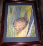 Framed Snail