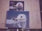 Pastel portrait of Sea Otter