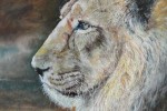 Oil painting of a lion