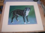 Mounted pastel of a Staffordshire Terrier