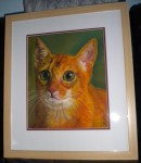Ginger cat portrait